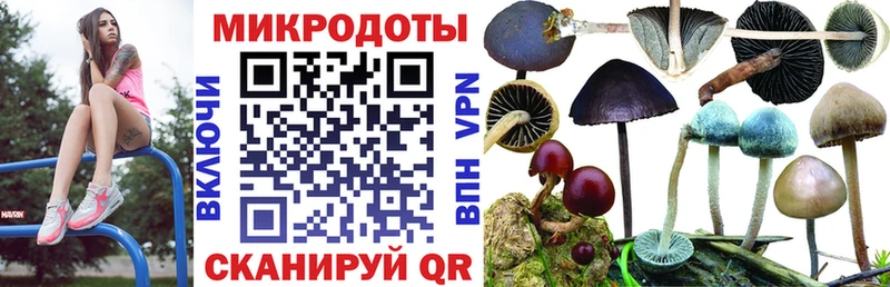 Галлюциногенные грибы Psilocybine cubensis  Иноземцево 